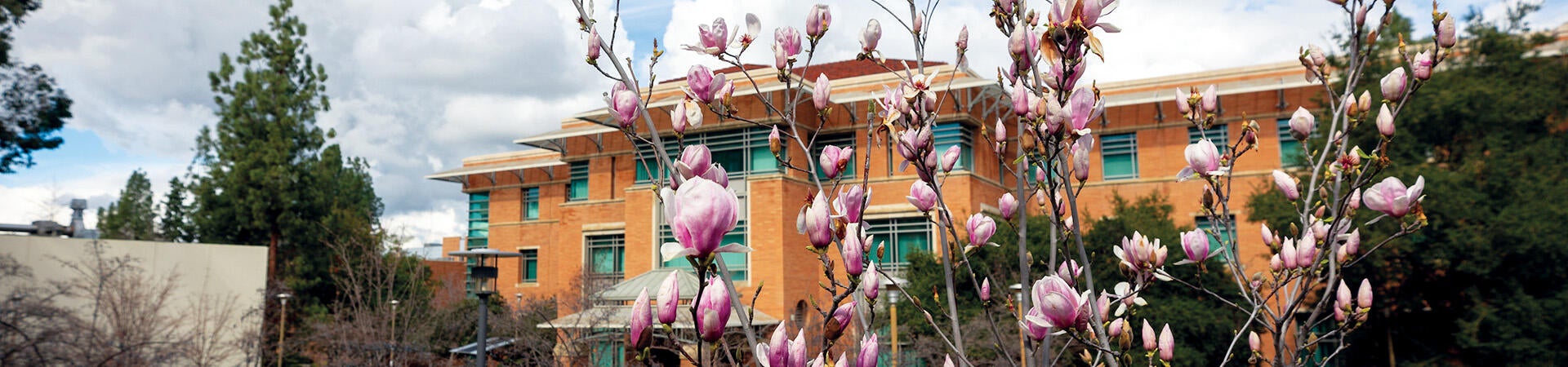 To Do List: Before You Arrive